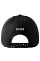 Labradorpsiunioczapkatyl.jpg