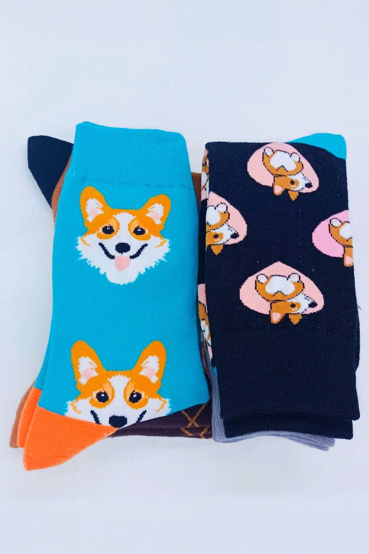 Skarpetki bawełniane w Corgi