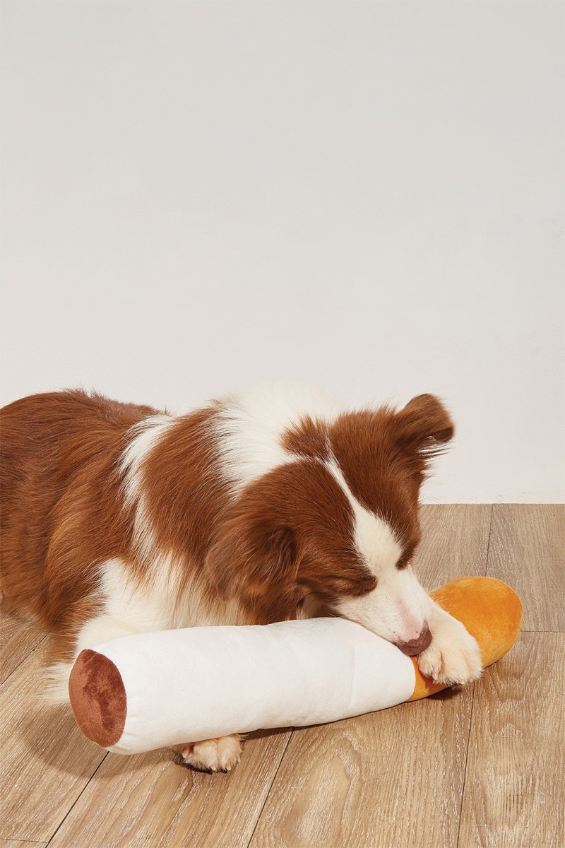 bordercollie.jpg