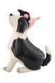 bordercollie1.jpg