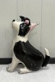 bordercollie2.jpg