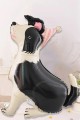 bordercollie4.jpg