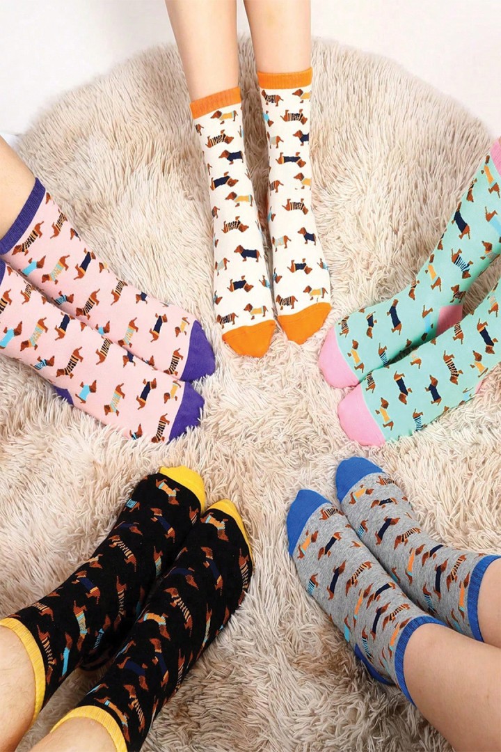 Skarpety długie jamniki w sweterkach 