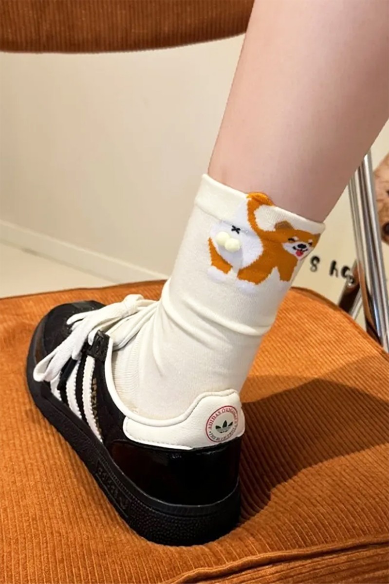 skarpetka shiba7.jpg