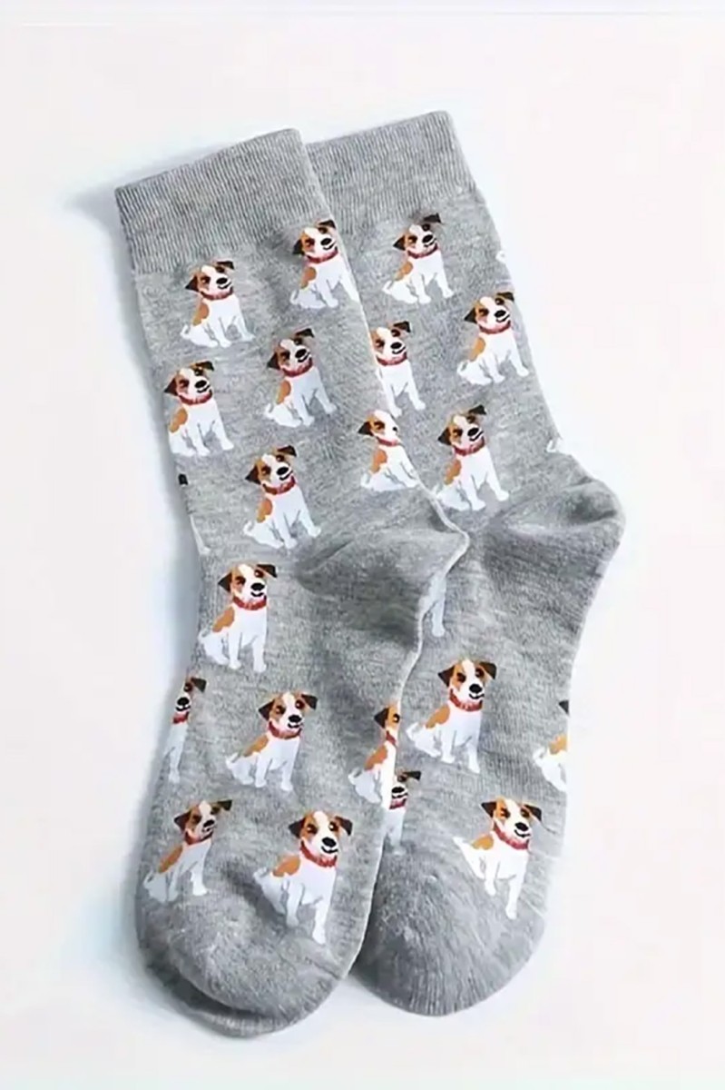jack russell.jpg