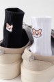 corgi4.jpg