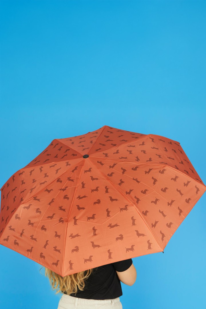 Parasol w pieski z pokrowcem jamnik dla psiarza
