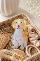 06f927f3-3982-4083-a2e8-f83ee6acd3d5.png