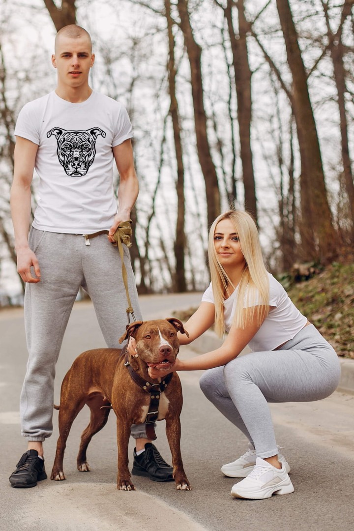 Koszulka Pitbull