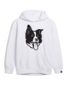 bordercolliebluzabialapsiunio.jpg
