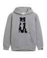 bordercollie2bluzaszarapsiunio.jpg