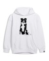 bordercollie2bluzabialapsiunio.jpg