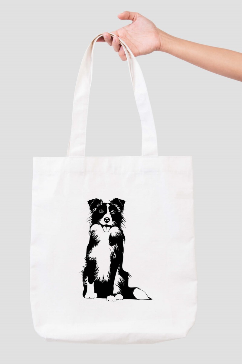 bordercollietorbamodel.jpg