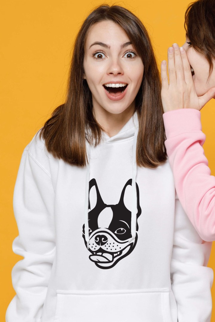 Bluza Boston Terrier