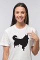 koszulka lassie model.jpg