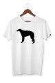 ksozulka borzoi 7.jpg