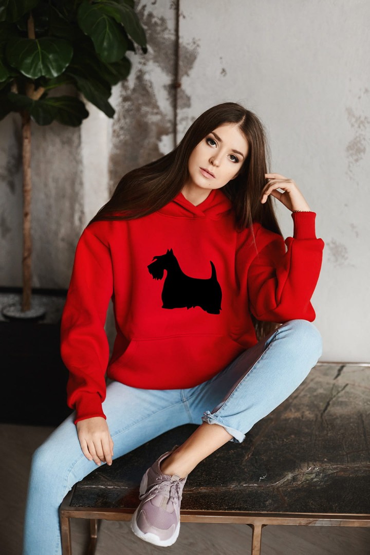 Bluza szkocki terrier