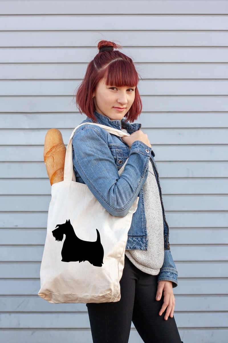 AdobeStock_299264073.jpg