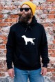 AdobeStock_442482064.jpg