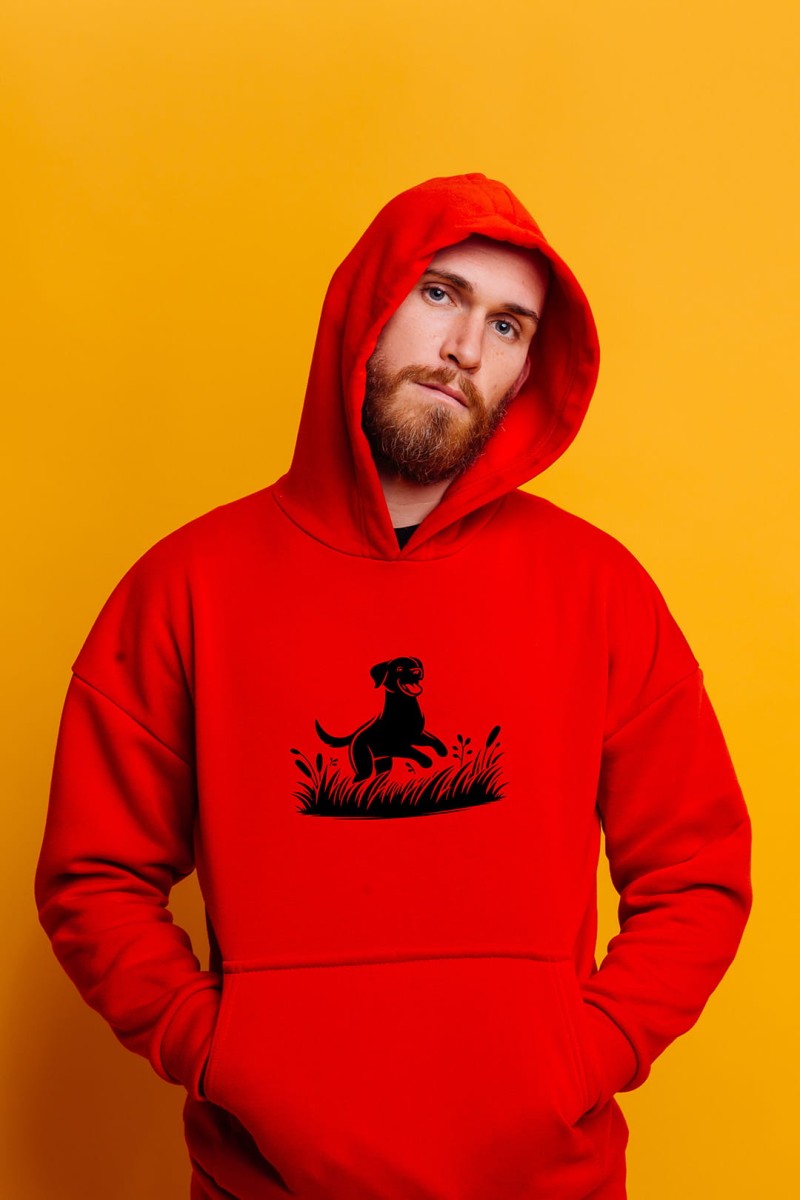AdobeStock_391987747.jpg