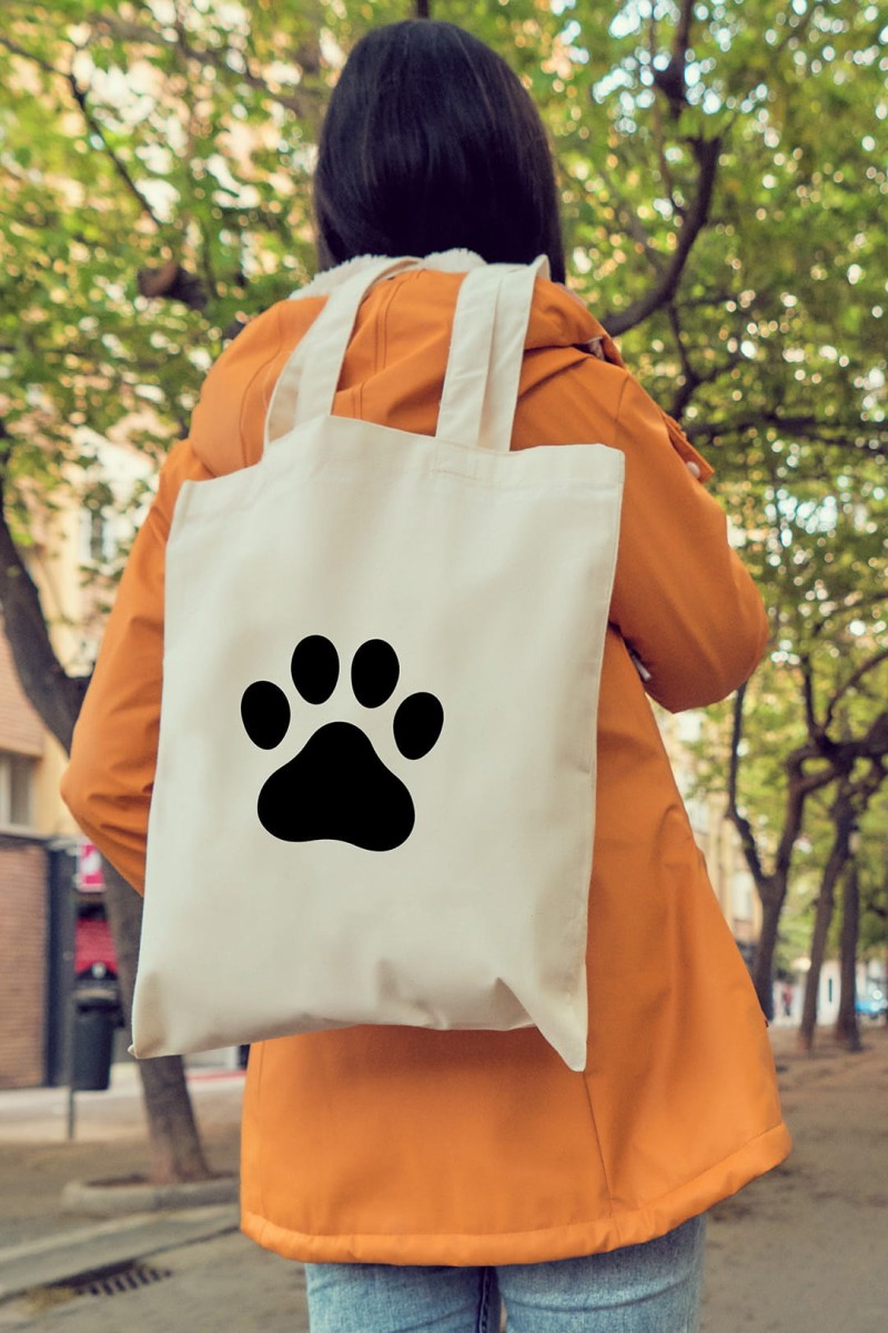 AdobeStock_432285493 (2).jpg