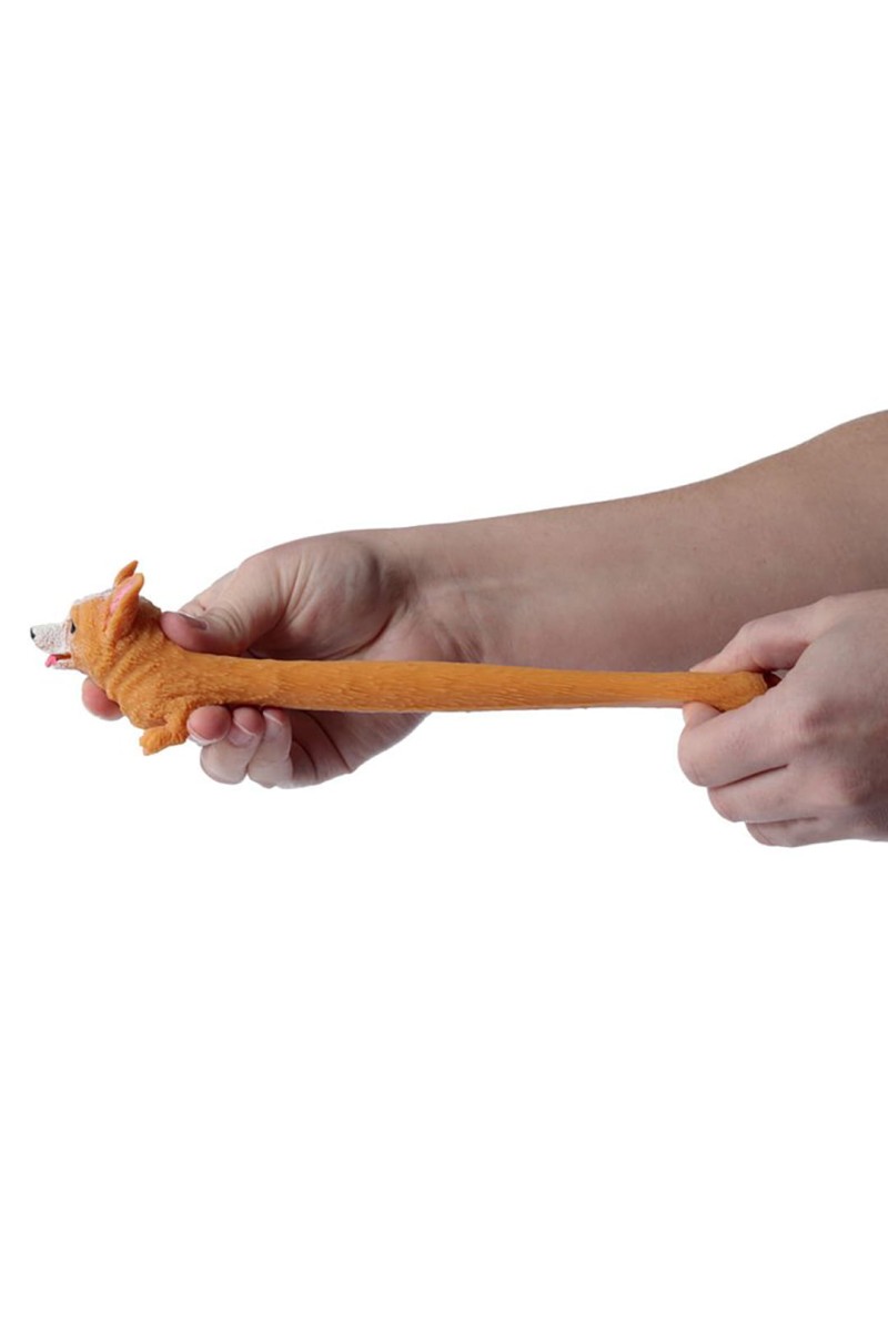corgirozciagliwy.jpg