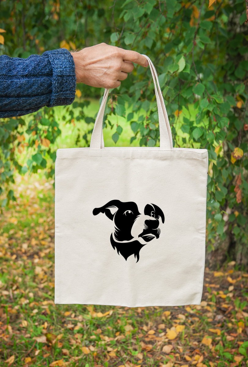 AdobeStock_460311798 (2).jpg